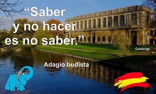 Saber y no hacer es no saber.